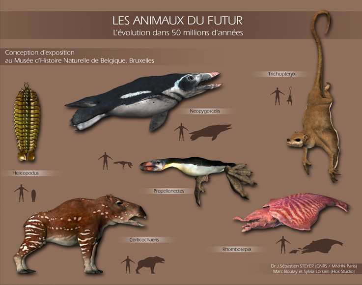 Image - Futur Affiche.jpg | Speculative Evolution Wiki | FANDOM powered