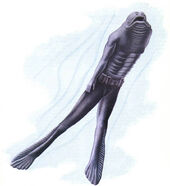 Aquamorph