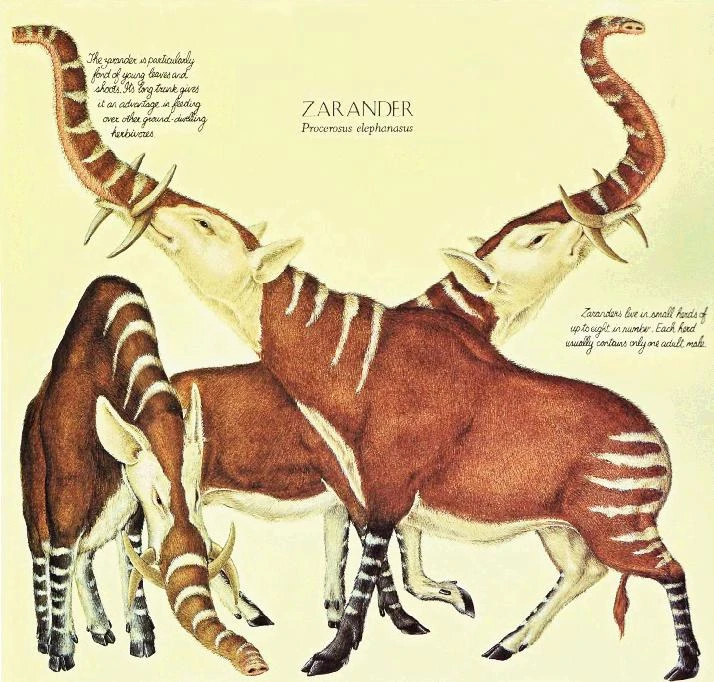 Zarander Speculative Evolution Wiki FANDOM powered by Wikia