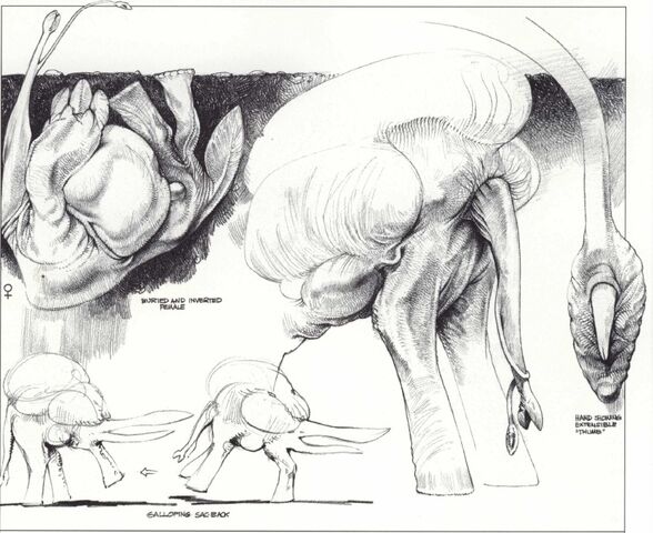 File:93-ab7ca33d7f.jpg