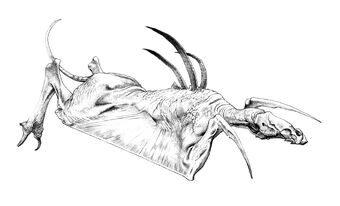 Daggerwrist-in-flight-copy1