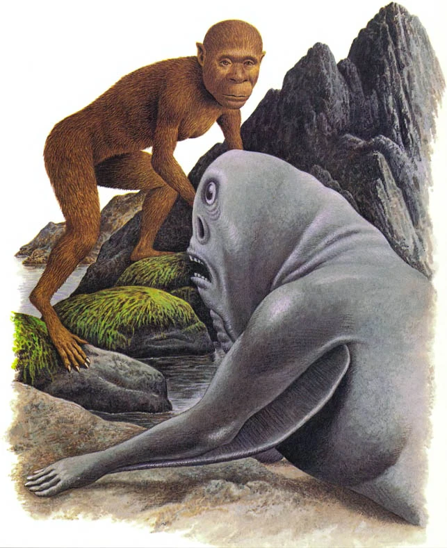 Aquatic Speculative Evolution Wiki FANDOM powered by Wikia