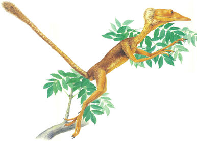 Tree Hopper
