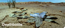 Deathbottle