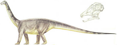 Titanosaur 2