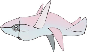 Babysquid