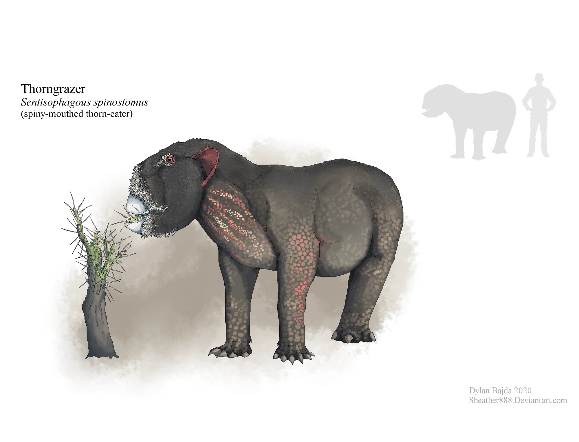 Thorngrazer Speculative Evolution Wiki Fandom