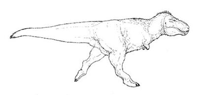 Spec Dinosauria Tyrannosauroidea Speculative Evolution 