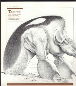 143-1469ea72b1