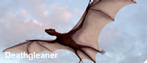 Deathgleaner