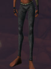 FancyLeatherPantsEQ