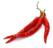 CayenneChilePepper