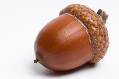 hex sign acorn meaning