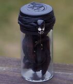 Wolfsbane
