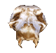 BoneHelmet