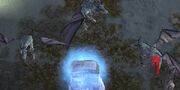 WinterDragon DragonStone