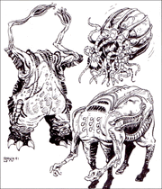 Shivak