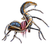 Neogi