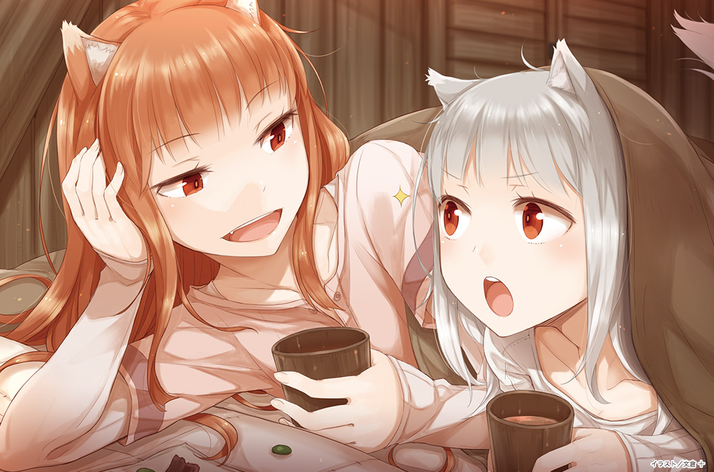 spice and wolf new theory wolf and parchment