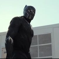 Black Panther Chadwick Boseman Spider Man Films Wiki Fandom