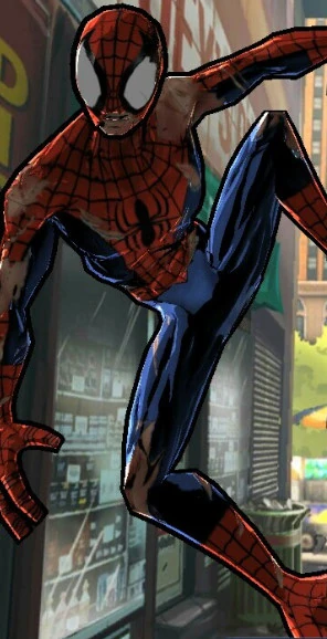 Singles schleswig holstein einwohner 2018