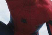 Man and Spider-