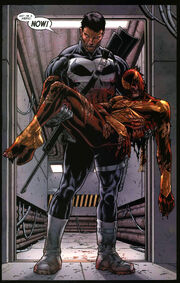 1217359-spider man2