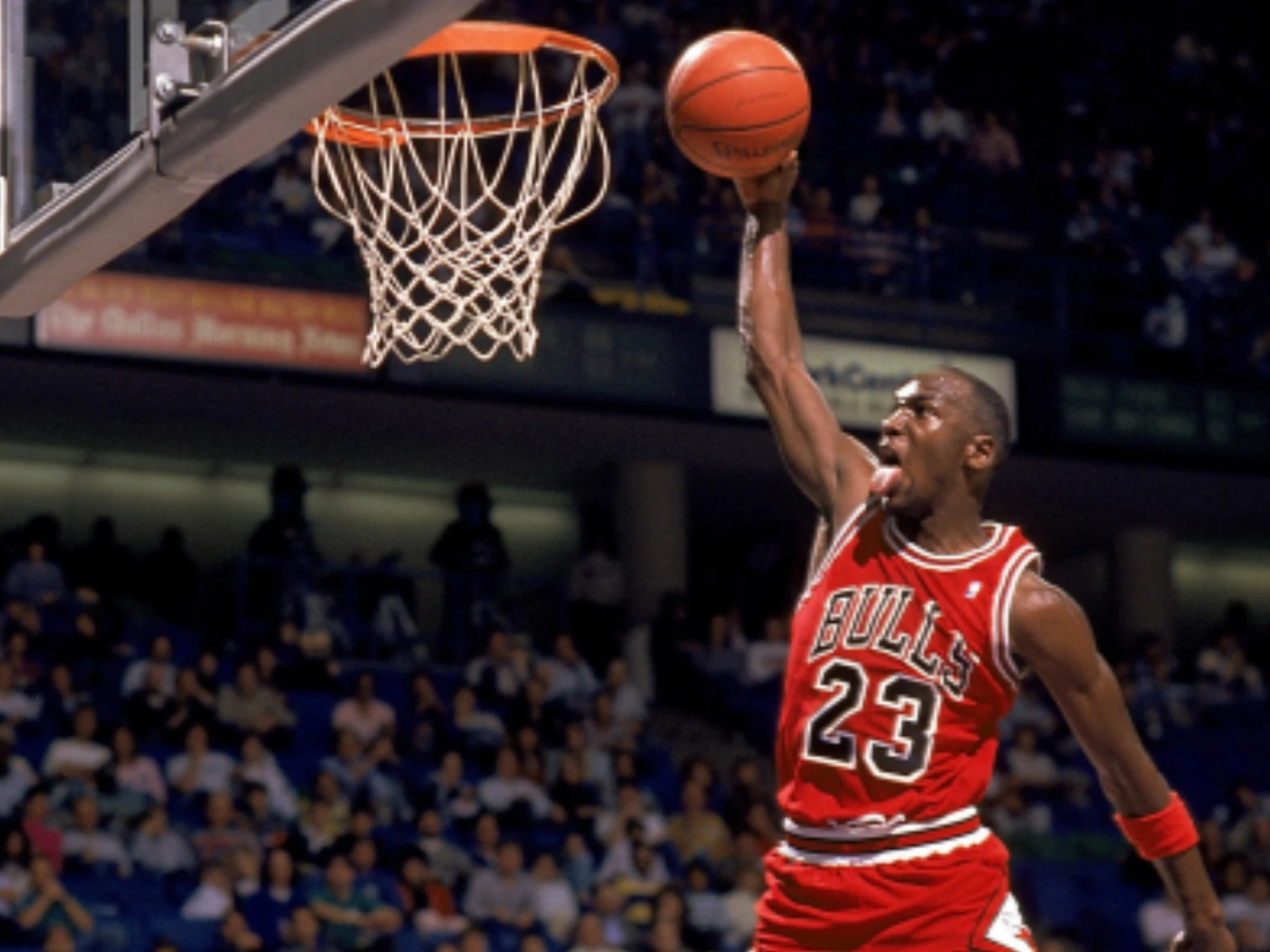 Image Michael Jordan is my favorite Basketball Player ever!.jpg