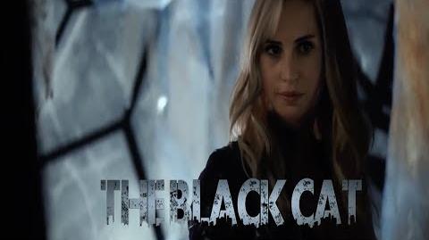 Video - Marvel's The Black Cat (Fan) Trailer- Felicity ...