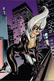Blackcat
