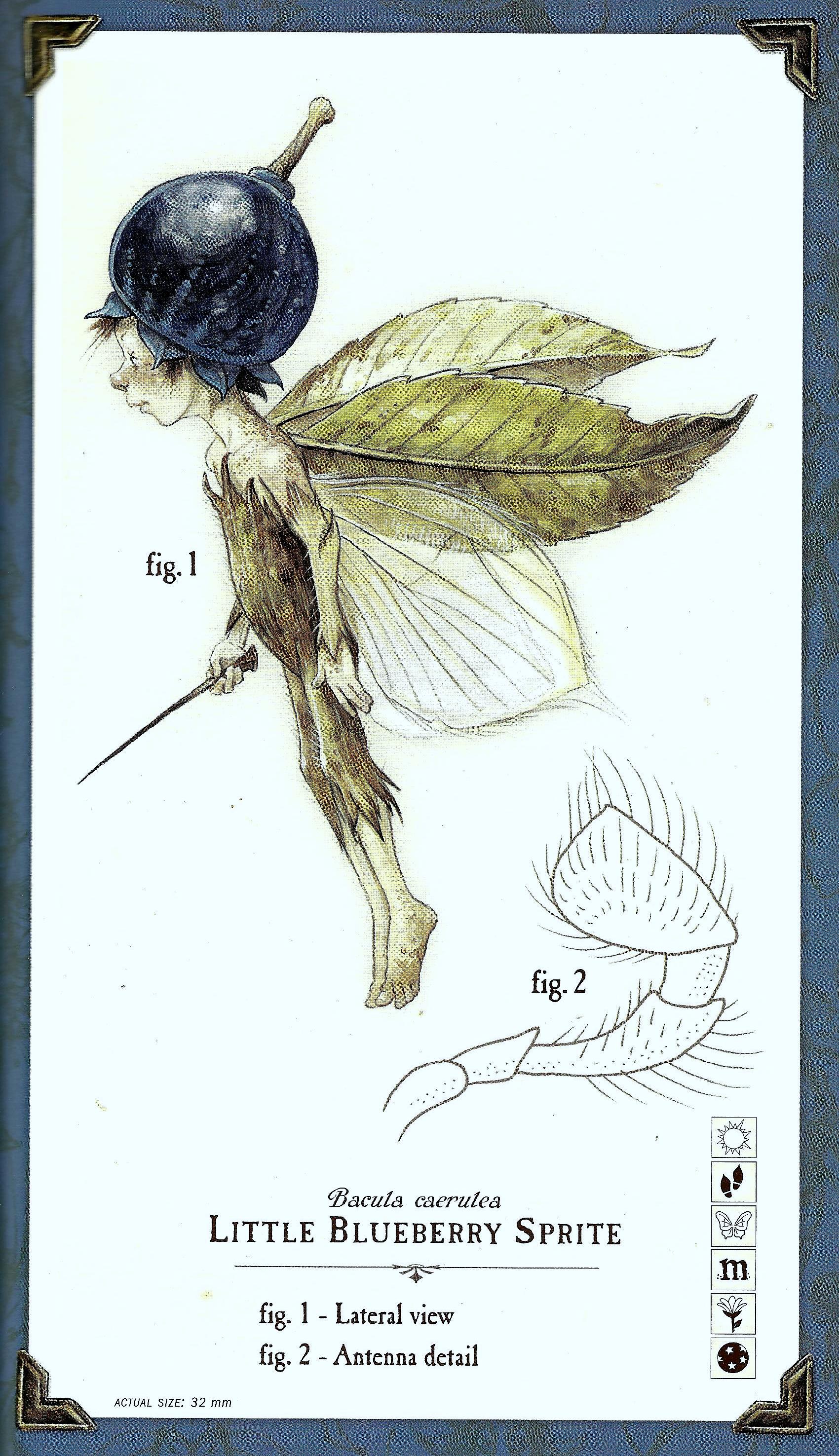 Image 09.jpg Spiderwick Chronicles Wiki FANDOM powered by Wikia