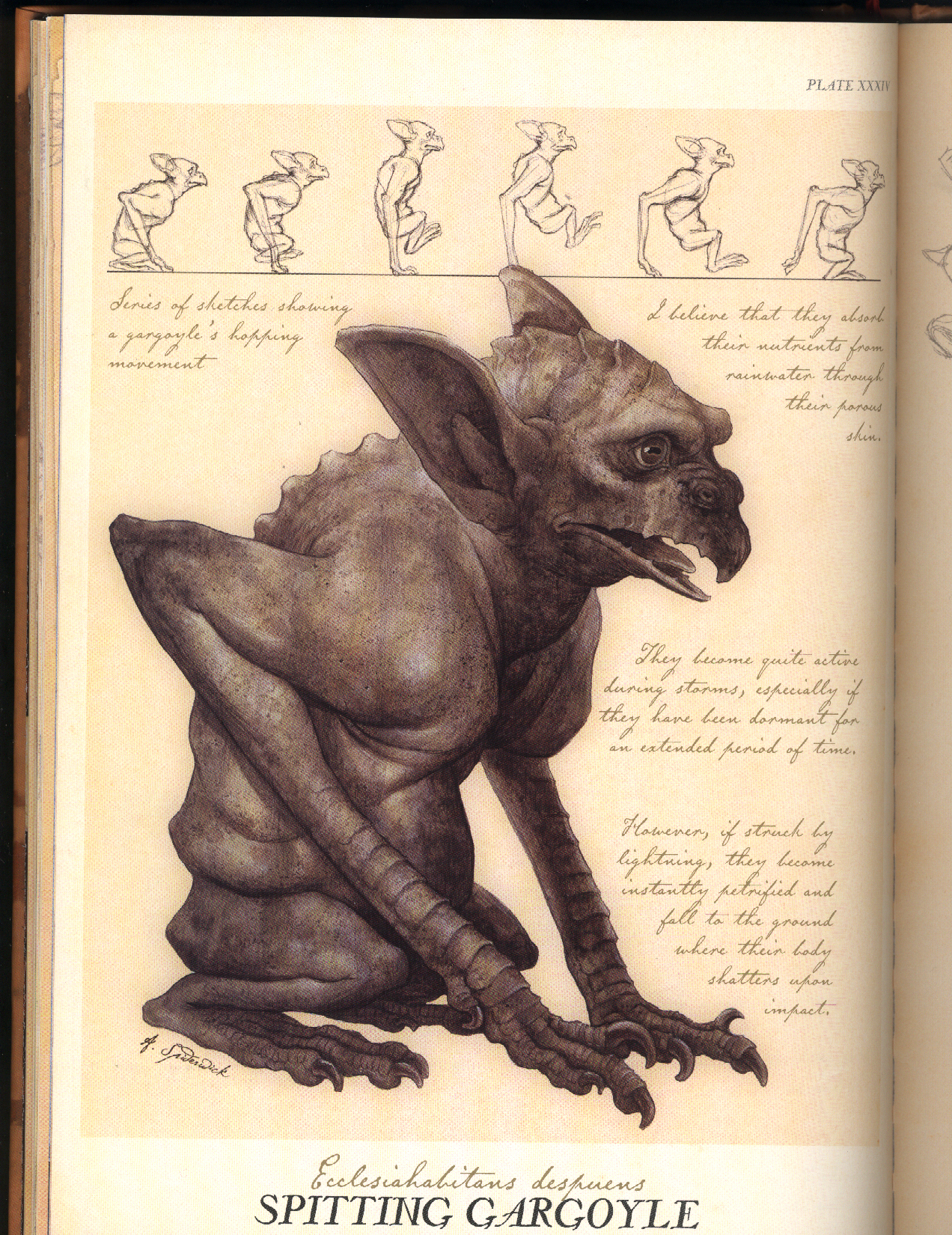 Gargoyle Spiderwick Chronicles Wiki Fandom