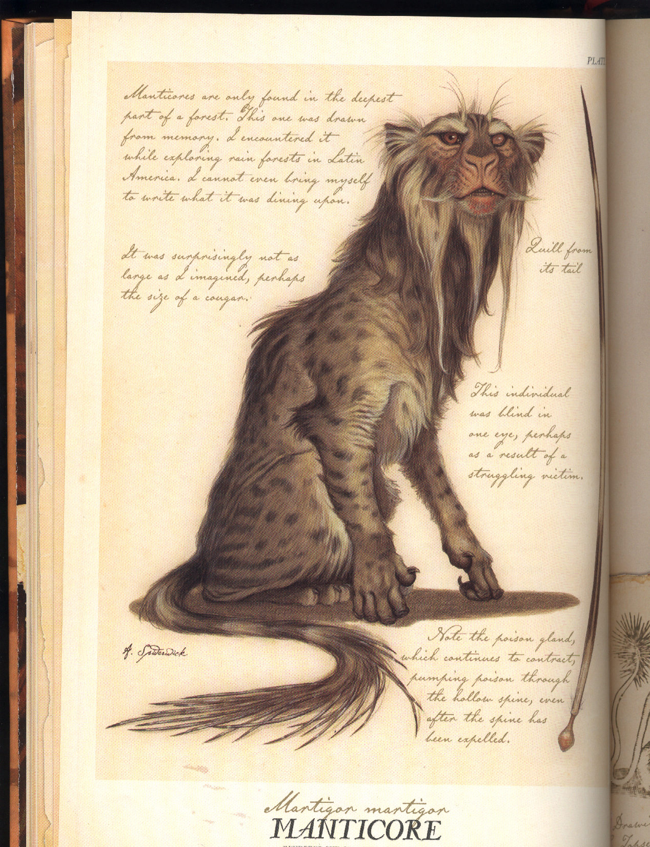 Manticore Spiderwick Chronicles Wiki Fandom