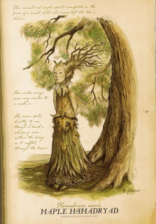 Treefolk | Spiderwick Chronicles Wiki | FANDOM powered by Wikia