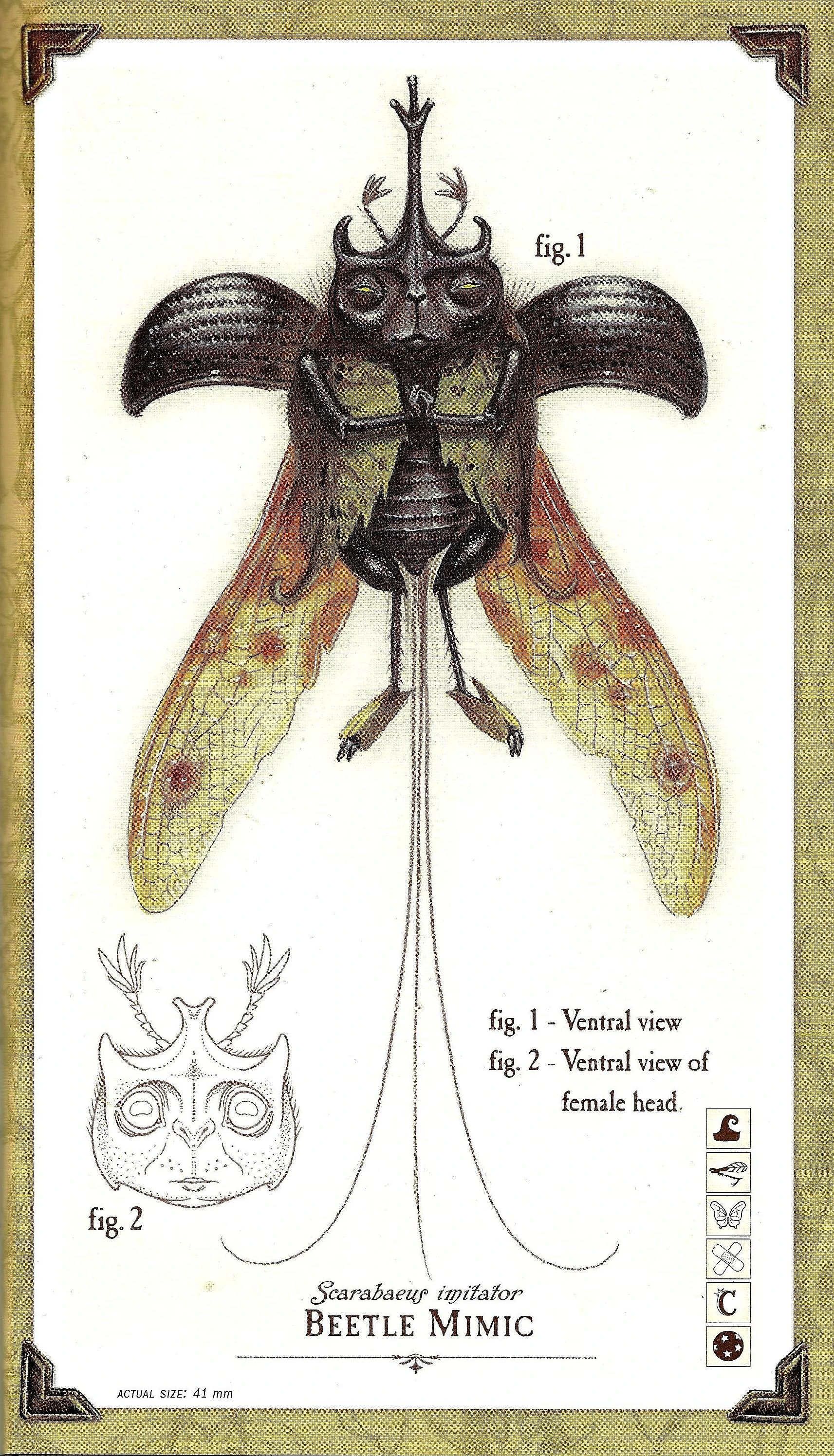 Image 016.jpg Spiderwick Chronicles Wiki FANDOM powered by Wikia