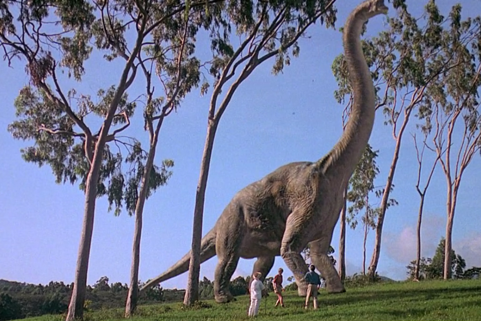 wiki brachiosaurus