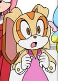 Cream the Rabbit | Sonic X Wiki | FANDOM powered by Wikia