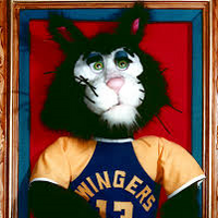 Crusty The Cat Spinpasta Wiki Fandom