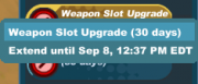 Usable-Weapon Slot Upgrade-Extend