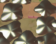 Status-Oil slick