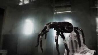 Black Jumping Spider Spirit Halloween Wikia Fandom