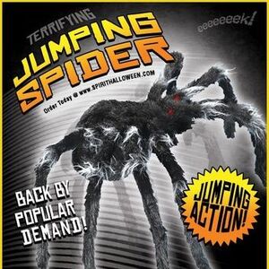 Black Jumping Spider Spirit Halloween Wikia Fandom
