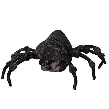 Tabletop Jumping Spider | Spirit Halloween Wikia | FANDOM powered by Wikia