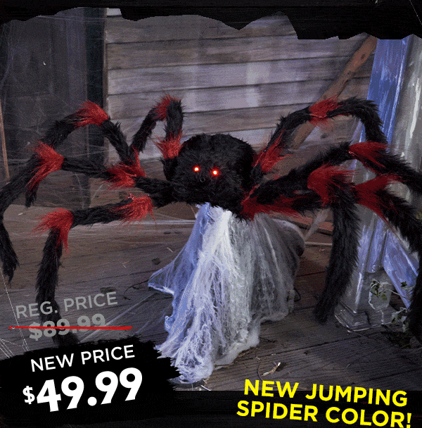 User blogSTM Productions/Black and Red Jumping Spider Email Spirit