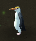 Royal Penguin