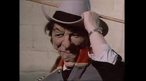 Ronald Reagan Cowboy