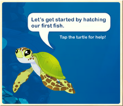 Tutorial§Turtle