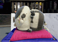 Judd sleep