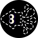 Ability Ninja Squid