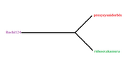 Timeline
